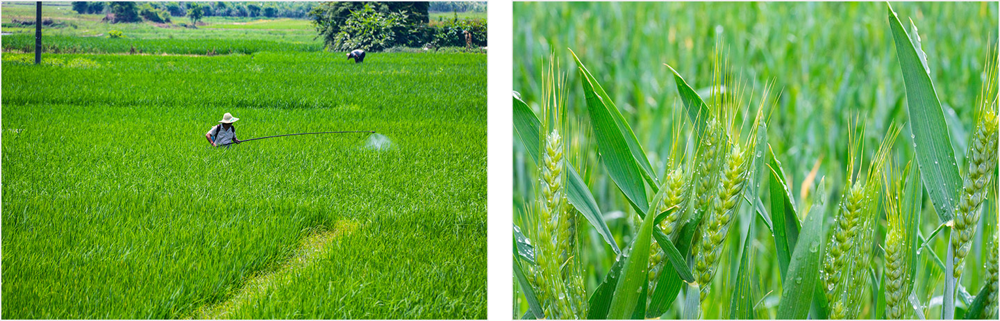 2t8gu2RwS9mBKWeosKkQLA (1).jpg