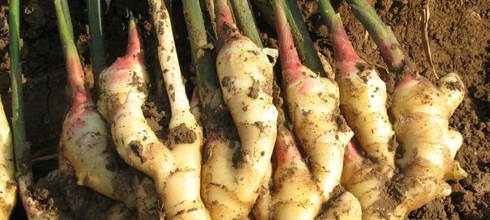 5e9ac274-6401-443d-a5df-8ec9f4254d9c (1).jpg