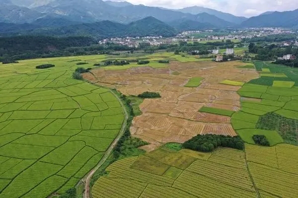 广西桂林市农业农村综合发展中心到永福县调研指导化肥减量增效示范项目工作